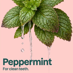 Fluoride-free Toothpaste